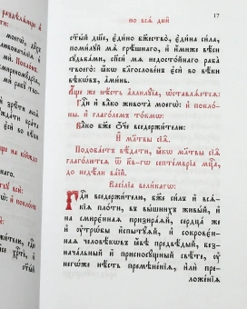 Книга «Часослов на церковнославянском языке» -  твердый переплёт, кол-во страниц - 464, издательство «Скрижаль»,  ISBN 978-5-6048426-8-3, 2022 год