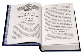 Книга «Псалтирь с толкованием, с молитвами о живых и усопших, с указанием чтений на всякую потребу по наставлениям преподобного Паисия Святогорца» -  твердый переплёт, кол-во страниц - 512, издательство «Духовное преображение»,  ISBN 978-5-00059-603-6, 2023 год