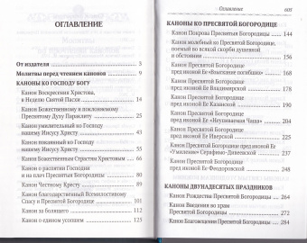 Книга «Сборник канонов ко Господу, Пресвятой Богородице, в честь двунадесятых праздников и святых» -  твердый переплёт, кол-во страниц - 608, издательство «Духовное преображение»,  ISBN 978-5-00059-471-1, 2021 год