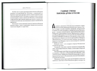 Книга «Древо Паисия. Книга о преподобном Паисии (Величковском) и его последователях» - автор Константин Островский протоиерей, твердый переплёт, кол-во страниц - 252, издательство «Синопсис»,  серия «Древо Паисия», ISBN 978-5-6043595-3-2, 2020 год