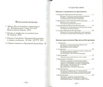 Книга «Каноны ко Пресвятей Богородице пред Ея чудотворными иконами» -  твердый переплёт, кол-во страниц - 544, издательство «Синопсис»,  ISBN 978-59927-0020-6, 2013 год