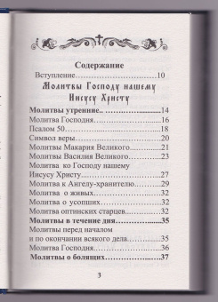 Книга «Молитвенный щит православного мирянина» -  твердый переплёт, кол-во страниц - 336, издательство «Борисова издательство»,  ISBN 978-5-93288-012-8, 2022 год