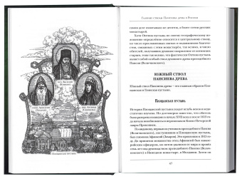 Книга «Древо Паисия. Книга о преподобном Паисии (Величковском) и его последователях» - автор Константин Островский протоиерей, твердый переплёт, кол-во страниц - 252, издательство «Синопсис»,  серия «Древо Паисия», ISBN 978-5-6043595-3-2, 2020 год