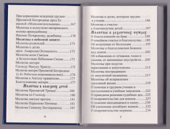 Книга «Молитвенный щит православного мирянина» -  твердый переплёт, кол-во страниц - 336, издательство «Борисова издательство»,  ISBN 978-5-93288-012-8, 2022 год