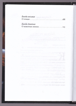 Книга «Беседы на Шестоднев» - автор Василий Великий святитель, твердый переплёт, кол-во страниц - 240, издательство «Синопсис»,  ISBN 978-5-6043594-3-3, 2020 год