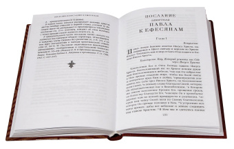 Книга «Краткий путеводитель по Апостолу и Апокалипсису» -  твердый переплёт, кол-во страниц - 368, издательство «Благовест»,  ISBN 978-5-9968-0775-8, 2023 год