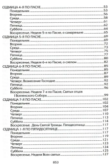 Книга «Евангелие дня. Толкования на Евангельские чтения церковного года» -  твердый переплёт, кол-во страниц - 864, издательство «Лепта»,  ISBN 978-5-91173-612-5, 2021 год