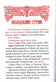 Книга «Часослов в авторском переводе на русский язык » -  твердый переплёт, кол-во страниц - 244, издательство «»,  серия «Опыт литургической реконструкции», ISBN , 2020 год